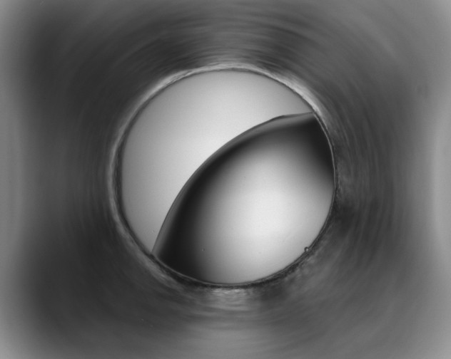 X0000090731142200707200950