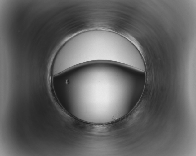 X0000090731144200707200950