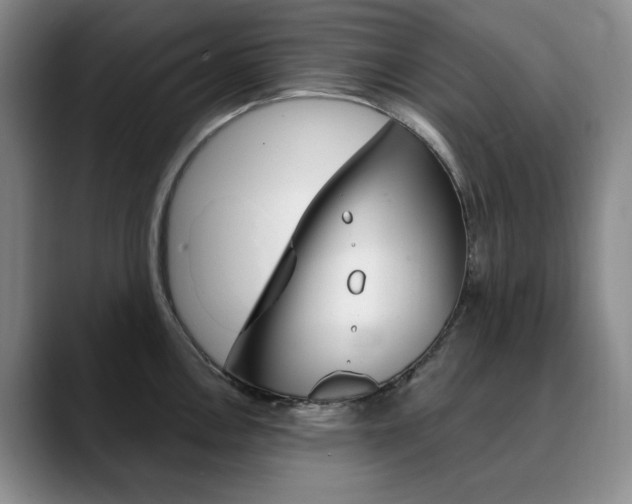 X0000090731146200707200950