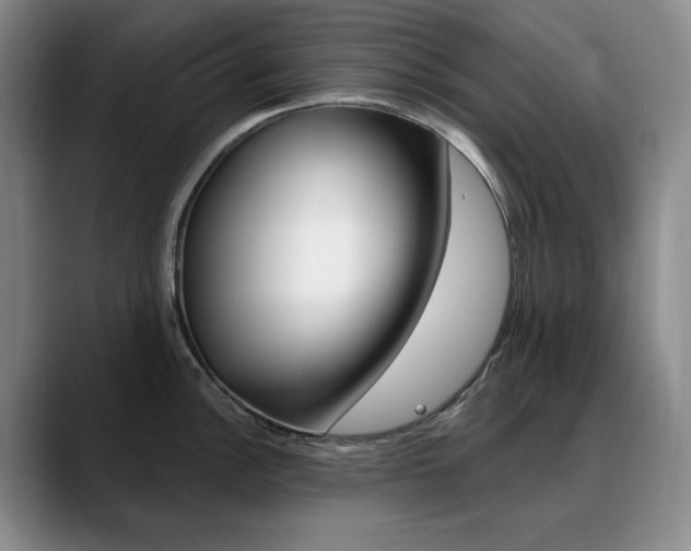 X0000090731148200707200951