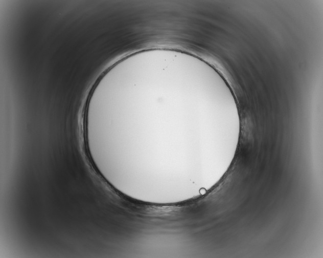 X0000090731150200707200951