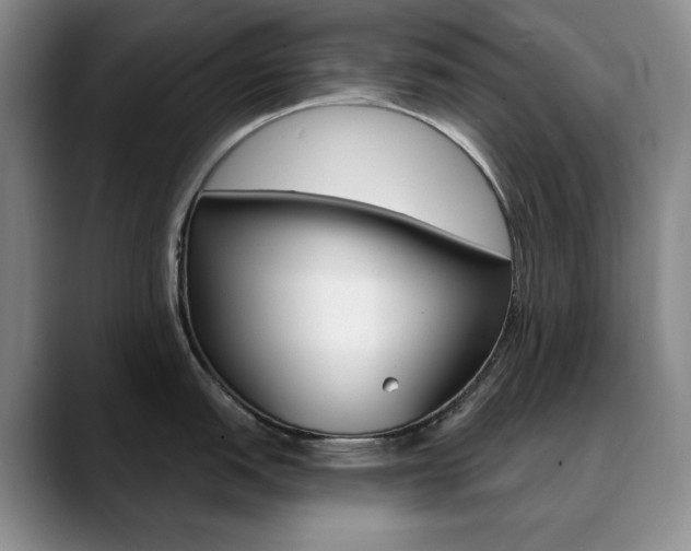 X0000090731151200707200951