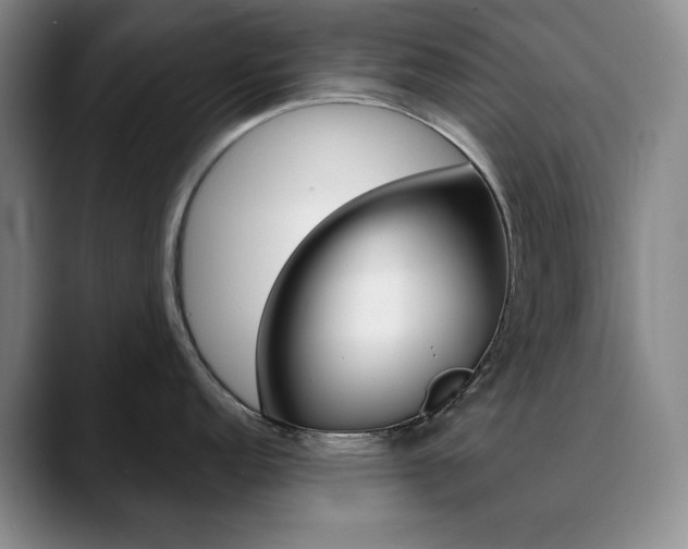 X0000090731152200707200951