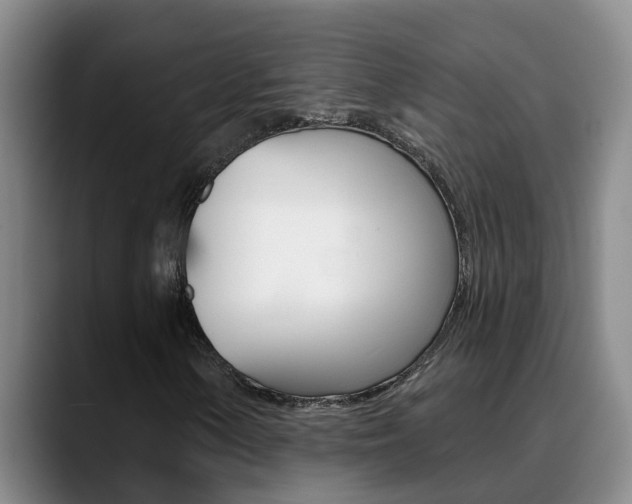 X0000090731154200707200950