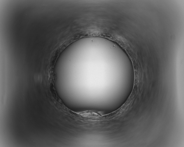 X0000090731157200707200950