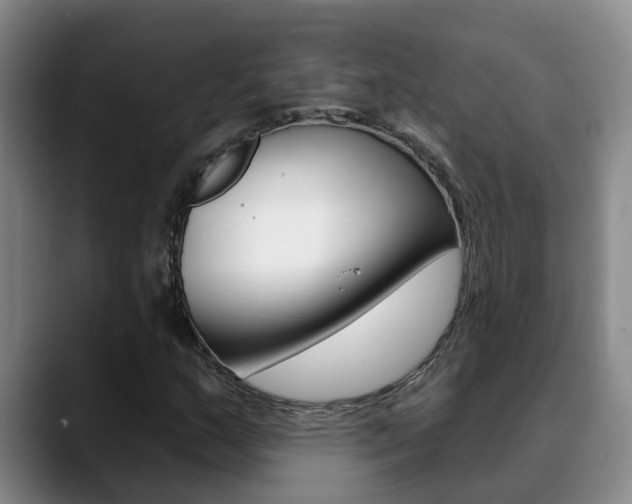 X0000090731159200707200950