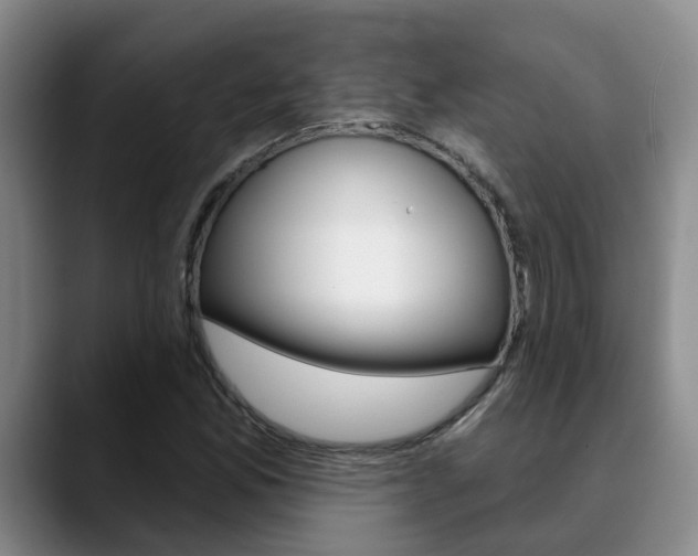 X0000090731165200707200950