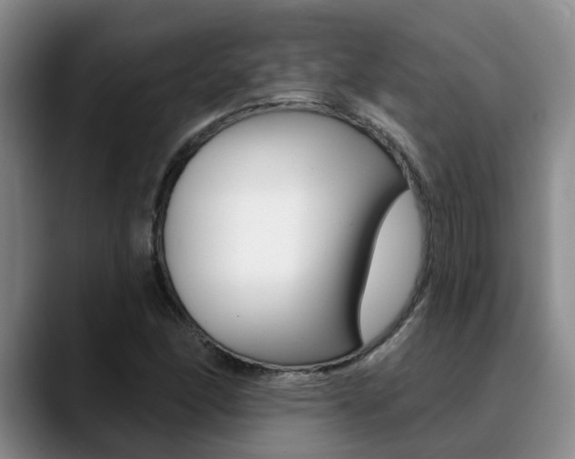 X0000090731166200707200950
