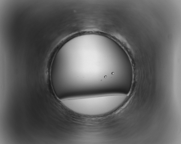 X0000090731167200707200950