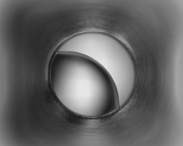 X0000090731173200707200950