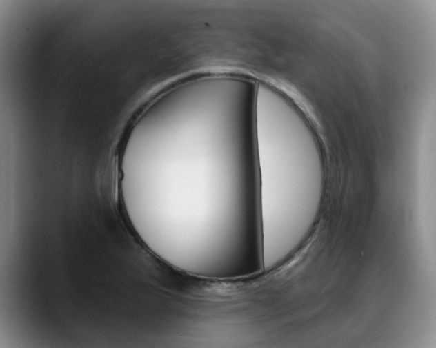 X0000090731175200707200950