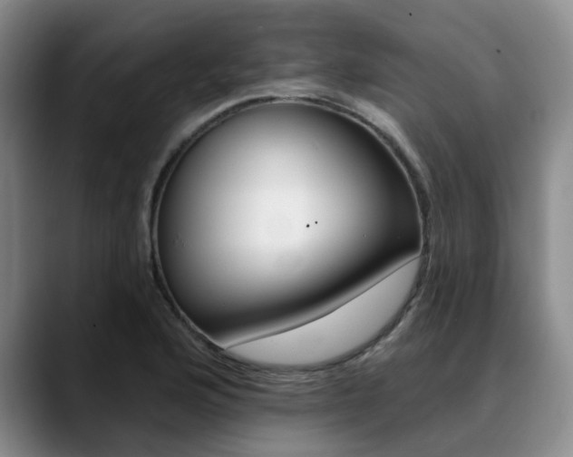 X0000090731176200707200950