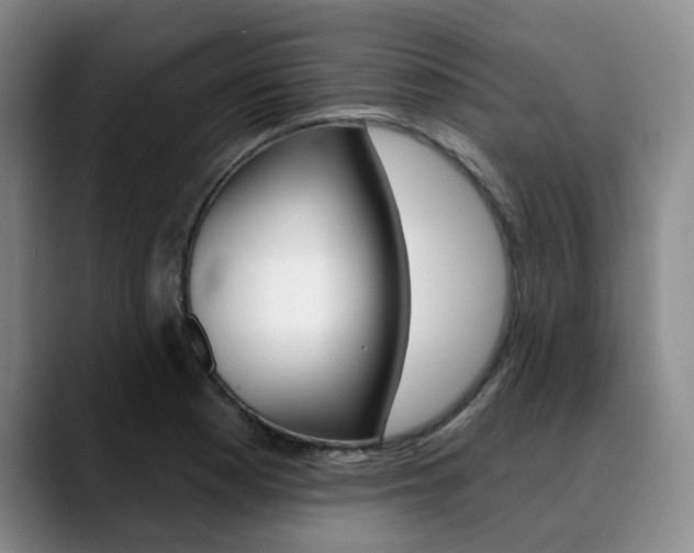 X0000090731177200707200950