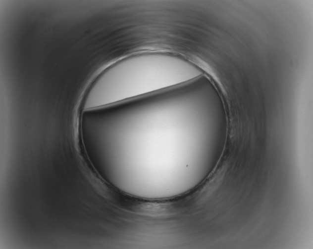 X0000090731179200707200950
