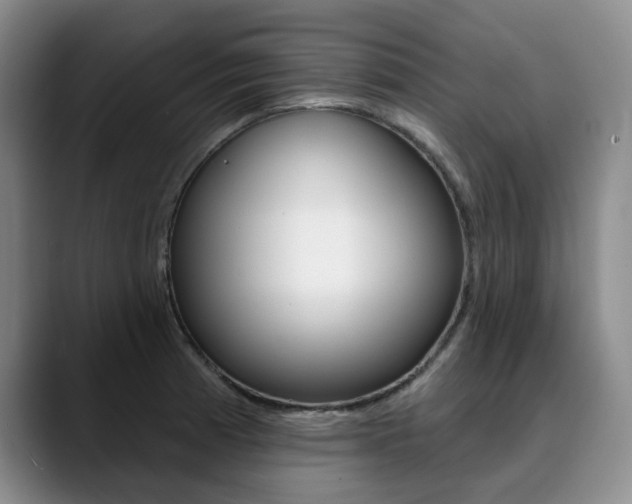 X0000090731185200707200950