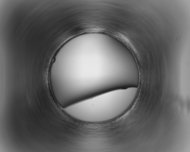 X0000090731186200707200950