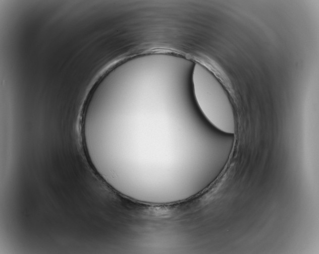 X0000090731190200707200950