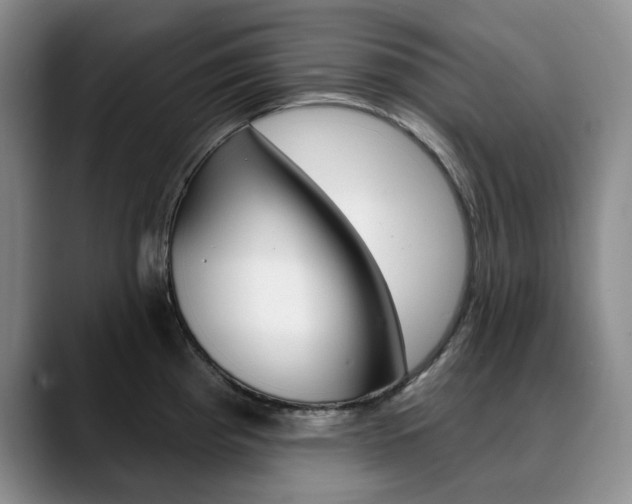 X0000090731193200707200950