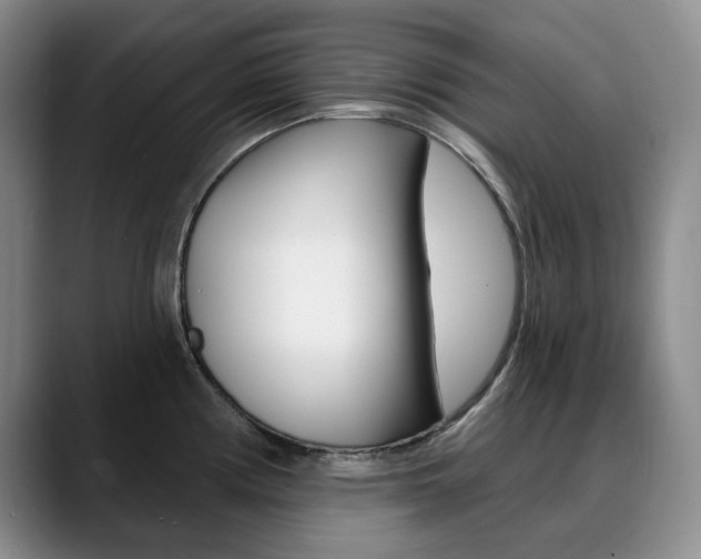 X0000090731194200707200950
