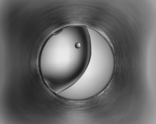 X0000090731197200707200949