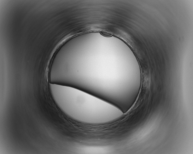 X0000090731198200707200949