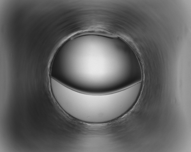 X0000090731200200707200949