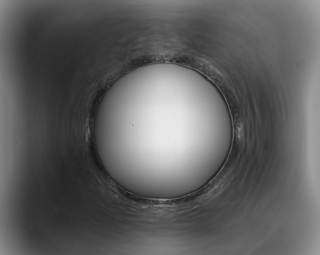 X0000090731204200707200949