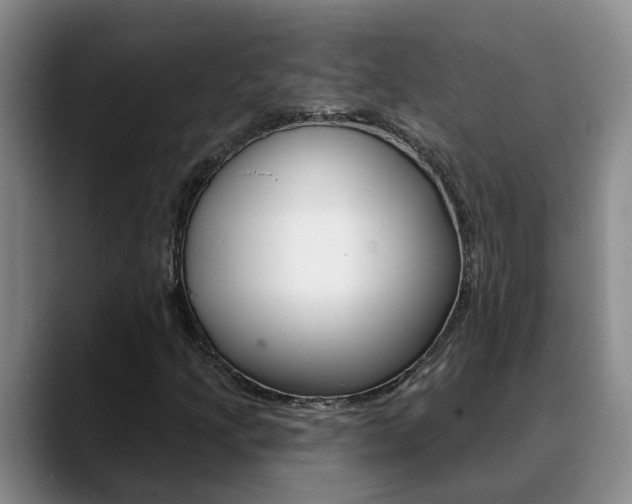 X0000090731205200707200949