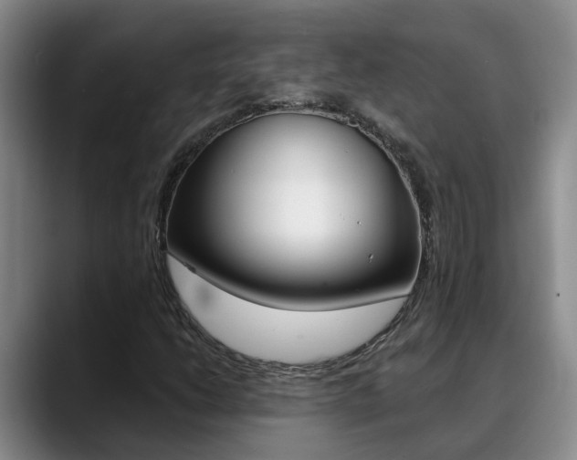 X0000090731206200707200949