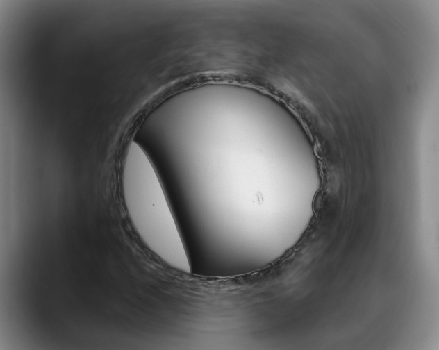 X0000090731208200707200949