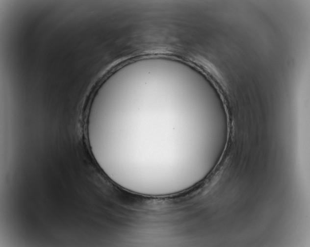 X0000090731212200707200949