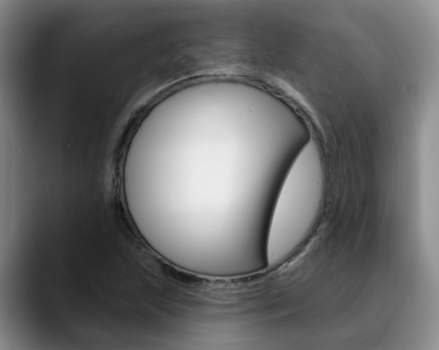 X0000090731215200707200949