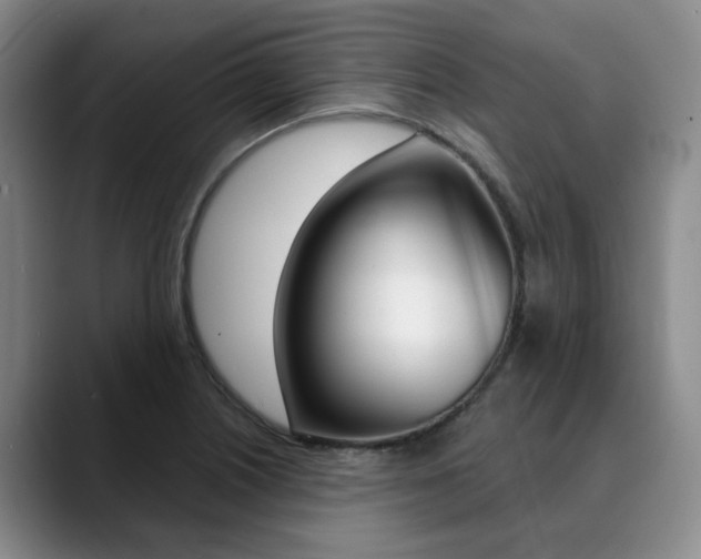 X0000090731226200707200949
