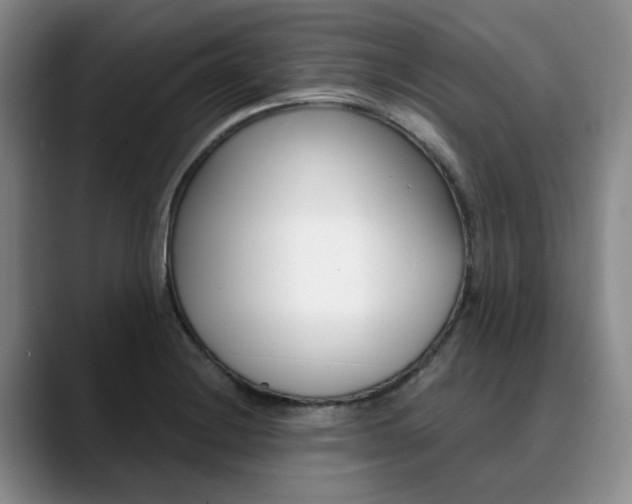 X0000090731228200707200949