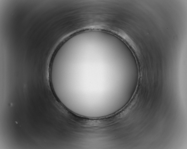 X0000090731232200707200949