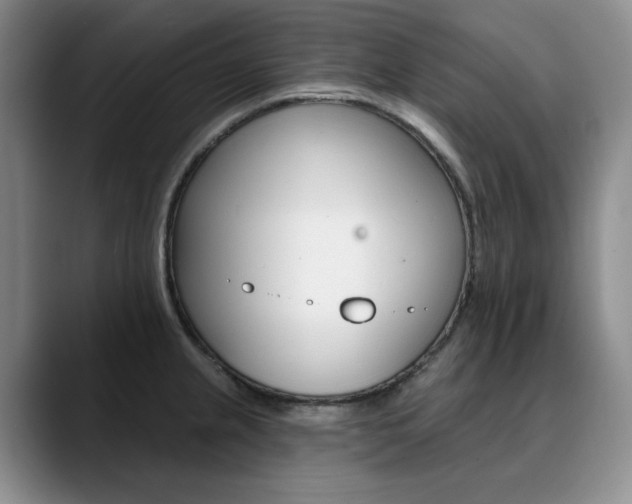 X0000090731237200707200949