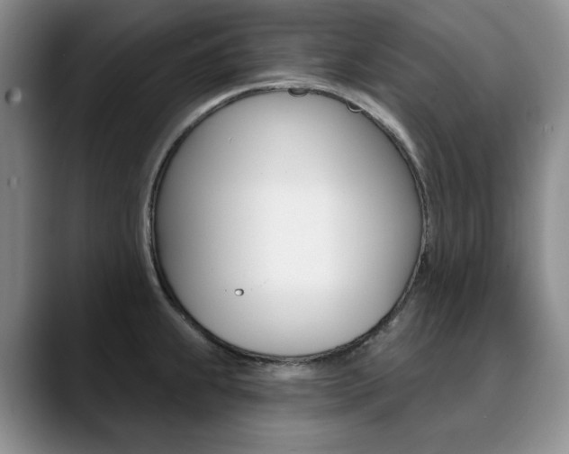 X0000090731239200707200949