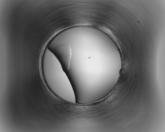 X0000090731243200707200949