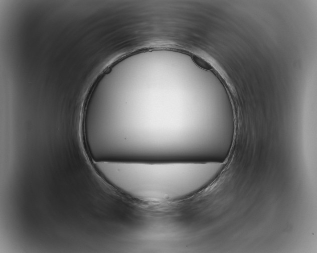 X0000090731245200707200949