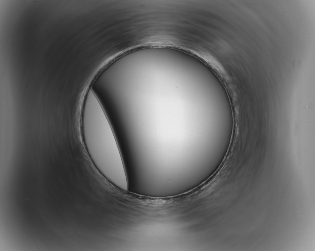 X0000090731248200707200949