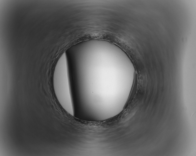X0000090731249200707200949