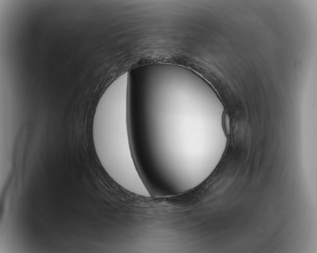 X0000090731250200707200949