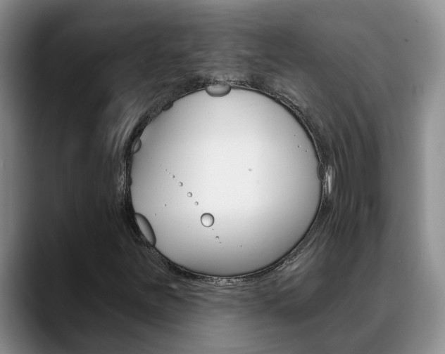 X0000090731251200707200949