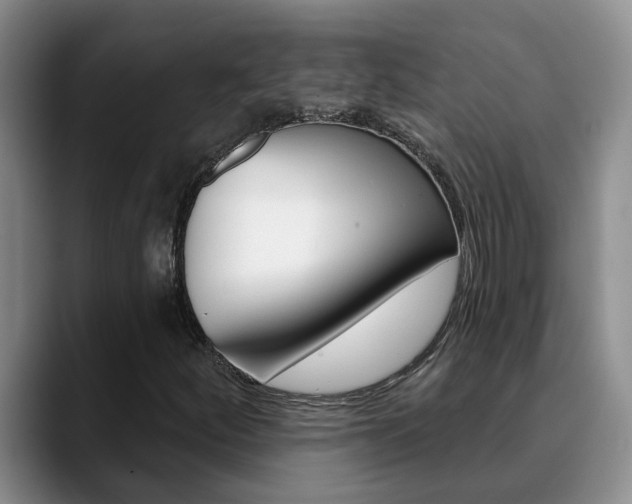 X0000090731252200707200949