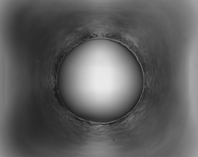 X0000090731253200707200949