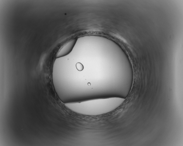 X0000090731255200707200949