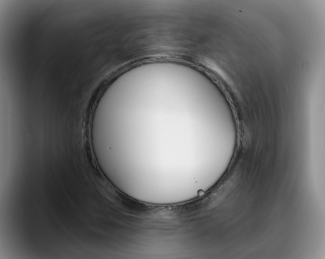 X0000090731259200707200949