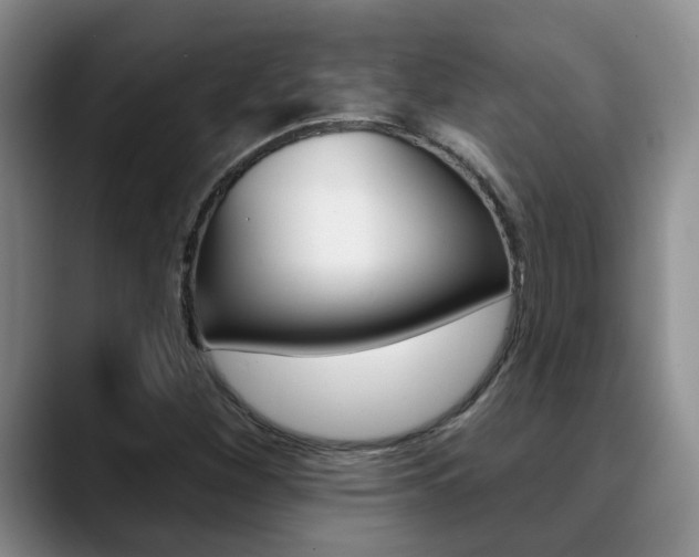 X0000090731260200707200949