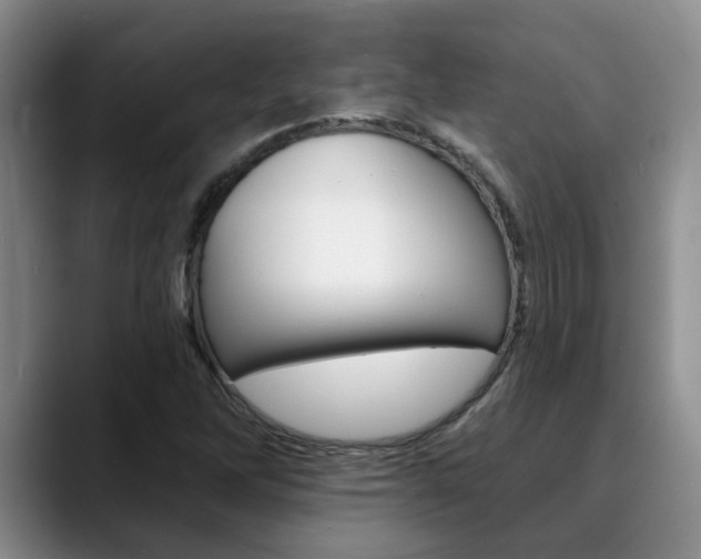 X0000090731262200707200949