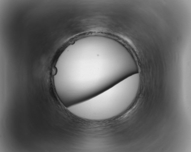 X0000090731263200707200949
